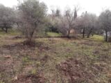 Terrain à bâtir à Draguignan (83300) 2496797-10295annonce220260429uF4nZ.jpeg Maisons France Confort