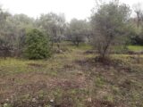 Terrain à bâtir à Draguignan (83300) 2496797-10295annonce320260429AqaMz.jpeg Maisons France Confort