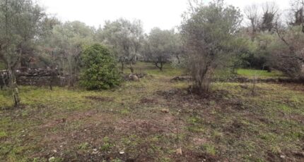Draguignan Terrain à bâtir - 2496797-10295annonce320260429AqaMz.jpeg Maisons France Confort