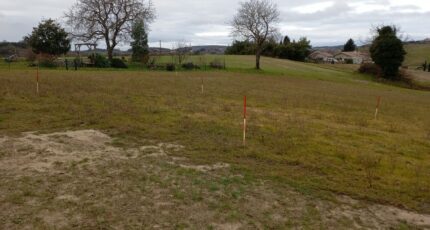 Hauterives Terrain à bâtir - 2496575-11248annonce320260429vGhoZ.jpeg Maisons France Confort