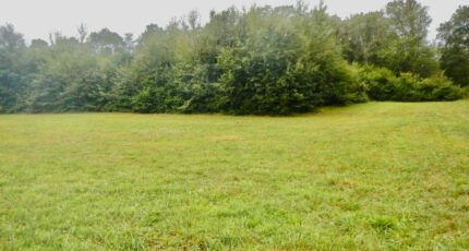 Château-l'Évêque Maison neuve - 2496936-11794annonce120260429VwHWn.jpeg Maisons France Confort