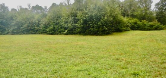 Terrain à bâtir à Château-l'Évêque, Nouvelle-Aquitaine