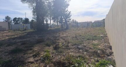 Saint-Clément-de-Rivière Terrain à bâtir - 2440666-3243annonce120260225ckk4A.jpeg Maisons France Confort