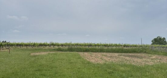Terrain à bâtir à Pugnac, Nouvelle-Aquitaine