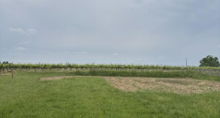 Pugnac Maison neuve - 2497186-11254annonce12026042930w08.jpeg Maisons France Confort