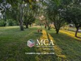 Maison à construire à Estillac (47310) 2497266-11091annonce120260425Puu1Q.jpeg Maisons France Confort