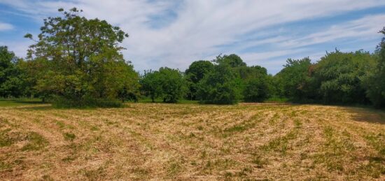 Terrain à bâtir à Sireuil, Nouvelle-Aquitaine