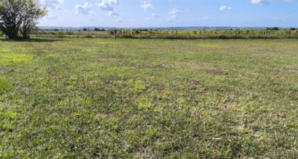 Châteauneuf-sur-Charente Terrain à bâtir - 2475131-11268annonce1202604020gKLQ.jpeg Maisons France Confort