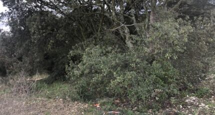 La Baume-de-Transit Terrain à bâtir - 2471032-812annonce220241128G9DpD.jpeg Maisons France Confort