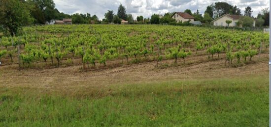 Terrain à bâtir à Castres-Gironde, Nouvelle-Aquitaine