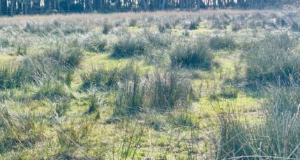 La Garde Maison neuve - 2497704-9707annonce120260430or72R.jpeg Maisons France Confort