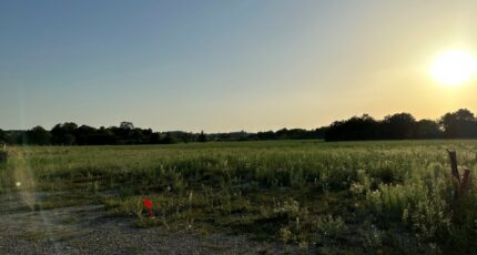 Chanceaux-sur-Choisille Terrain à bâtir - 2497262-10650annonce120260429UURse.jpeg Maisons France Confort