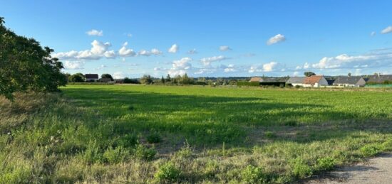 Terrain à bâtir à La Croix-en-Touraine, Centre-Val de Loire