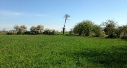 Veigné Terrain à bâtir - 2497260-10650annonce120260429yVh2B.jpeg Maisons France Confort