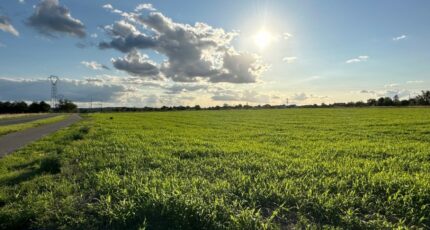 Azay-sur-Cher Terrain à bâtir - 2497264-10650annonce120260429pJQqH.jpeg Maisons France Confort