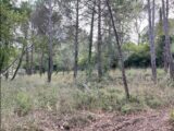 Terrain à bâtir à Tourrettes (83440) 2444838-10140annonce22026030272vDk.jpeg Maisons France Confort