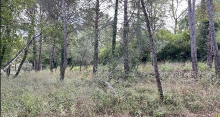 Tourrettes Terrain à bâtir - 2444838-10140annonce22026030272vDk.jpeg Maisons France Confort