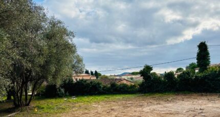 Cuers Maison neuve - 2409586-9707annonce320260128BW3kE.jpeg Maisons France Confort