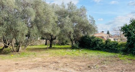 Cuers Maison neuve - 2409603-9707annonce420260128TIZa7.jpeg Maisons France Confort