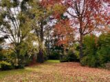 Terrain à bâtir à Bordeaux (33200) 2498640-11303annonce120260430q0xIO.jpeg Maisons France Confort
