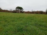 Maison à construire à Mérignas (33350) 2465998-11596annonce220260324bOUix.jpeg Maisons France Confort
