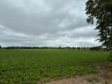 Maison à construire à Monchy-le-Preux (62118) 2418859-5719annonce120260204AHqX9.jpeg Maisons France Confort