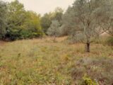 Terrain à bâtir à Saint-Maximin-la-Sainte-Baume (83470) 2421998-10744annonce320251019xPnTF.jpeg Maisons France Confort