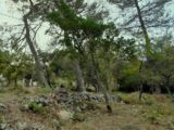 Terrain à bâtir à Saint-Maximin-la-Sainte-Baume (83470) 2421998-10744annonce420251019VnPrC.jpeg Maisons France Confort