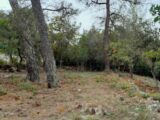 Terrain à bâtir à Saint-Maximin-la-Sainte-Baume (83470) 2421984-10744annonce420251019sBduK.jpeg Maisons France Confort