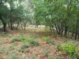 Maison à construire à Saint-Maximin-la-Sainte-Baume (83470) 2421999-10744annonce120251019eaTPw.jpeg Maisons France Confort
