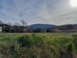 Terrain à bâtir à Pignans (83790) 2422241-10746annonce120251013y8Chk.jpeg Maisons France Confort