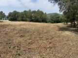 Terrain à bâtir à Taradeau (83460) 2422272-10295annonce320250624BnIIv.jpeg Maisons France Confort