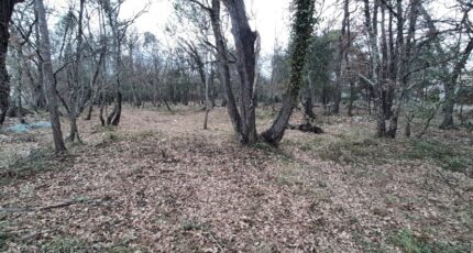 Trans-en-Provence Terrain à bâtir - 2422276-10295annonce120250519CE1wG.jpeg Maisons France Confort