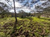 Maison à construire à Saint-Raphaël (83700) 2424764-11157annonce120260211HB5HU.jpeg Maisons France Confort