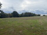 Terrain à bâtir à Montastruc-la-Conseillère (31380) 2424876-11356annonce4202602119PJ55.jpeg Maisons France Confort