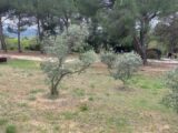 Terrain à bâtir à Cadenet (84160) 2435048-7060annonce320230609WhhVB.jpeg Maisons France Confort
