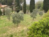 Terrain à bâtir à Cadenet (84160) 2435048-7060annonce420230609FxlB1.jpeg Maisons France Confort