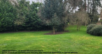 Milly-la-Forêt Terrain à bâtir - 2435822-4684annonce120260220bTQ15.jpeg Maisons France Confort