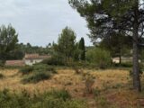 Terrain à bâtir à Guzargues (34820) 2411025-11455annonce120260128T28xO.jpeg Maisons France Confort