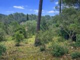 Terrain à bâtir à Garéoult (83136) 2447602-11137annonce420260304wQZPz.jpeg Maisons France Confort