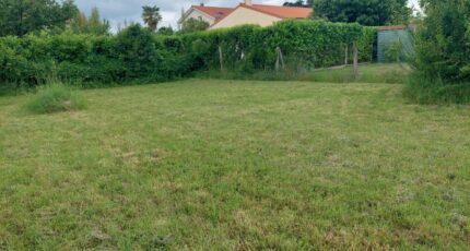 Fenouillet Maison neuve - 2448138-11356annonce220260305w7kVI.jpeg Maisons France Confort