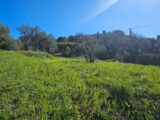 Terrain à bâtir à Grasse (06130) 2452534-11719annonce120260310TJdWK.jpeg Maisons France Confort