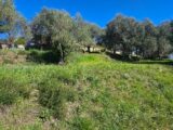 Terrain à bâtir à Grasse (06130) 2452534-11719annonce220260310tVphk.jpeg Maisons France Confort