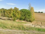 Maison à construire à Flourens (31130) 2455805-5771annonce120260313XTEO6.jpeg Maisons France Confort