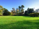 Maison à construire à Ronquerolles (95340) 2456372-11819annonce1202603136QmzW.jpeg Maisons France Confort