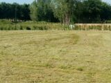 Maison à construire à Amfreville-les-Champs (76560) 2430312-1887annonce120260216LwbzT.jpeg Maisons France Confort