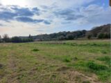 Maison à construire à Ceyras (34800) 2463229-11040annonce1202603206Fln0.jpeg Maisons France Confort