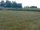 Terrain à bâtir à Doudeville (76560) 2429935-1887annonce120260216WkOfN.jpeg Maisons France Confort