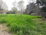 Maison à construire à Flayosc (83780) 2474163-10295annonce120260401sp0hv.jpeg Maisons France Confort