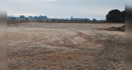 Marsillargues Maison neuve - 2415484-3243annonce120260202aoECE.jpeg Maisons France Confort